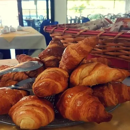 Rondine Marinella di Sarzana